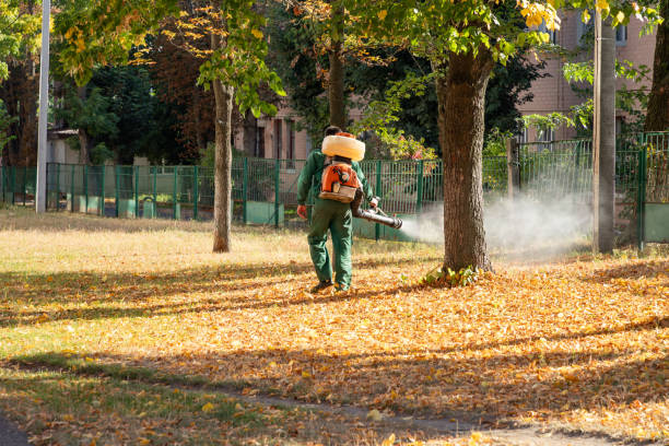 Best Pest Control Near Me  in Lone Grove, OK